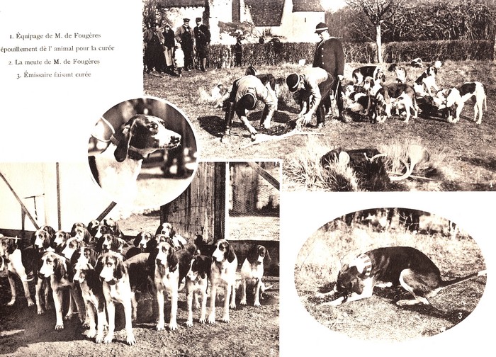 Dans le Cher en mars (1925) - Rallie Saint-Hubert, Equipage Beauchamps, Equipage de Chandaire - Don à la Société de Vènerie (3)